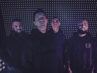 VEXES- HEAD OVER HEELS (TEARS FOR FEARS COVER)