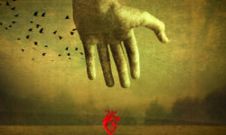 NICE STONES CLOSE: TRACES