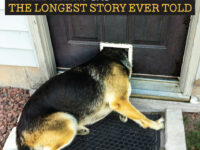 THE KINGS: THE LONGEST STORY EVER TOLD