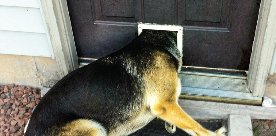 THE KINGS: THE LONGEST STORY EVER TOLD