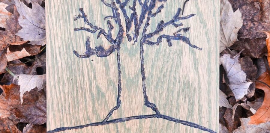 RYAN BLACKWOOD: FLAWED BUT FINE