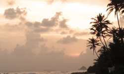 LORENZA WILDCARD: RISE & RIDE